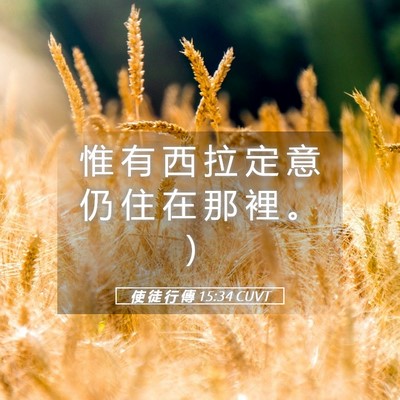 Picture 05 - 使 徒 行 傳 15:34 CUVT - 惟 有 西 拉 定 意 仍 住 在 那 裡 。 - Bible Verse Picture