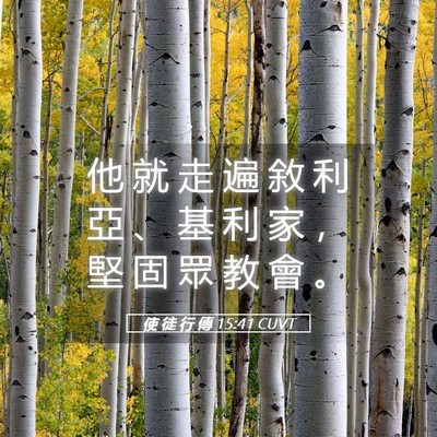 Picture 05 - 使 徒 行 傳 15:41 CUVT - 他 就 走 遍 敘 利 亞 、 基 利 家 ， - Bible Verse Picture