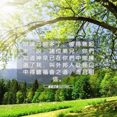 Picture 05 - 使 徒 行 傳 15:7 CUVT - 辯 論 已 經 多 了 ， 彼 得 就 起 來 - Bible Verse Picture