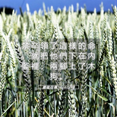 Picture 05 - 使 徒 行 傳 16:24 CUVT - 禁 卒 領 了 這 樣 的 命 ， 就 把 他 - Bible Verse Picture