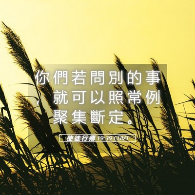Picture 05 - 使 徒 行 傳 19:39 CUVT - 你 們 若 問 別 的 事 ， 就 可 以 照 - Bible Verse Picture