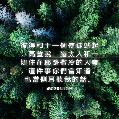 Picture 05 - 使 徒 行 傳 2:14 CUVT - 彼 得 和 十 一 個 使 徒 站 起 ， 高 - Bible Verse Picture