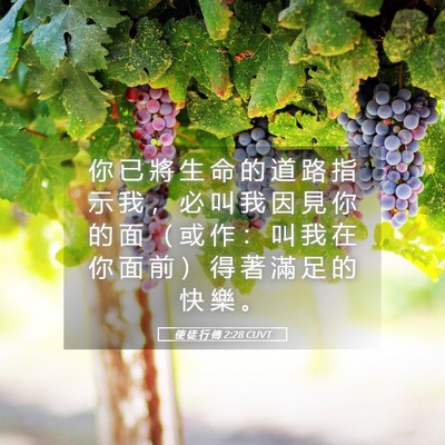 Picture 05 - 使 徒 行 傳 2:28 CUVT - 你 已 將 生 命 的 道 路 指 示 我 ， - Bible Verse Picture