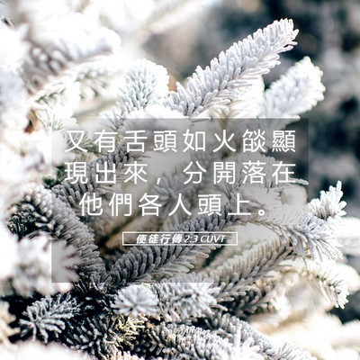 Picture 05 - 使 徒 行 傳 2:3 CUVT - 又 有 舌 頭 如 火 燄 顯 現 出 來 ， - Bible Verse Picture