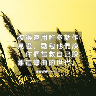 Picture 05 - 使 徒 行 傳 2:40 CUVT - 彼 得 還 用 許 多 話 作 見 證 ， 勸 - Bible Verse Picture