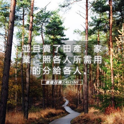 Picture 05 - 使 徒 行 傳 2:45 CUVT - 並 且 賣 了 田 產 ， 家 業 ， 照 各 - Bible Verse Picture