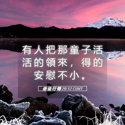 Picture 05 - 使 徒 行 傳 20:12 CUVT - 有 人 把 那 童 子 活 活 的 領 來 ， - Bible Verse Picture
