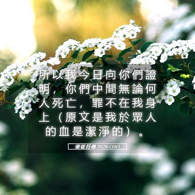Picture 05 - 使 徒 行 傳 20:26 CUVT - 所 以 我 今 日 向 你 們 證 明 ， 你 - Bible Verse Picture