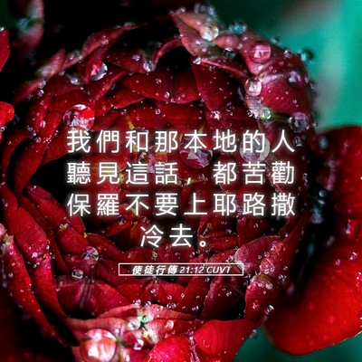 Picture 05 - 使 徒 行 傳 21:12 CUVT - 我 們 和 那 本 地 的 人 聽 見 這 話 - Bible Verse Picture