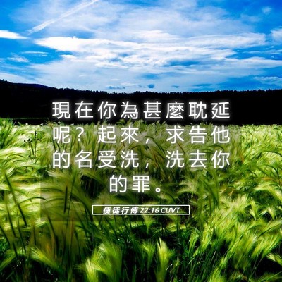 Picture 05 - 使 徒 行 傳 22:16 CUVT - 現 在 你 為 甚 麼 耽 延 呢 ？ 起 來 - Bible Verse Picture