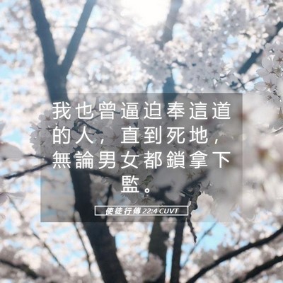 Picture 05 - 使 徒 行 傳 22:4 CUVT - 我 也 曾 逼 迫 奉 這 道 的 人 ， 直 - Bible Verse Picture