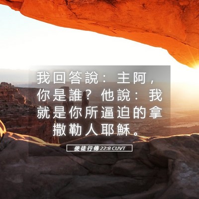 Picture 05 - 使 徒 行 傳 22:8 CUVT - 我 回 答 說 ： 主 阿 ， 你 是 誰 ？ - Bible Verse Picture