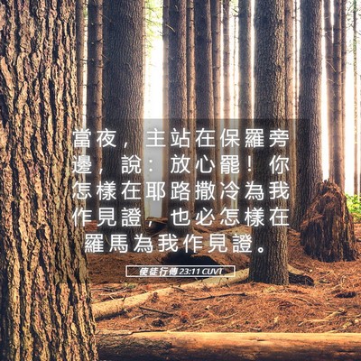 Picture 05 - 使 徒 行 傳 23:11 CUVT - 當 夜 ， 主 站 在 保 羅 旁 邊 ， 說 - Bible Verse Picture