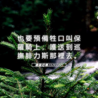 Picture 05 - 使 徒 行 傳 23:24 CUVT - 也 要 預 備 牲 口 叫 保 羅 騎 上 ， - Bible Verse Picture