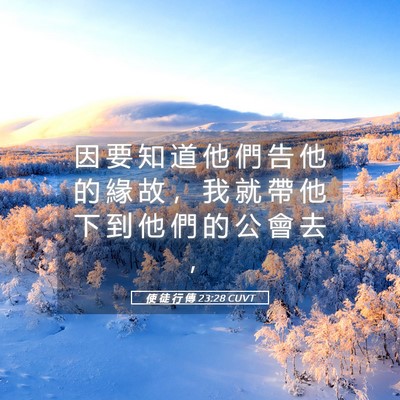Picture 05 - 使 徒 行 傳 23:28 CUVT - 因 要 知 道 他 們 告 他 的 緣 故 ， - Bible Verse Picture