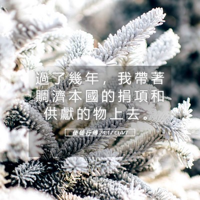Picture 05 - 使 徒 行 傳 24:17 CUVT - 過 了 幾 年 ， 我 帶 著 賙 濟 本 國 - Bible Verse Picture