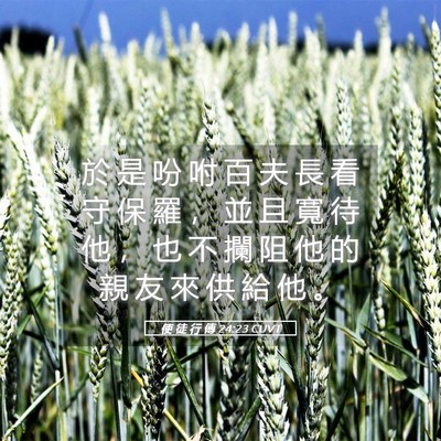 Picture 05 - 使 徒 行 傳 24:23 CUVT - 於 是 吩 咐 百 夫 長 看 守 保 羅 ， - Bible Verse Picture