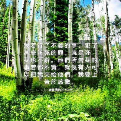 Picture 05 - 使 徒 行 傳 25:11 CUVT - 我 若 行 了 不 義 的 事 ， 犯 了 甚 - Bible Verse Picture