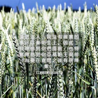Picture 05 - 使 徒 行 傳 25:26 CUVT - 論 到 這 人 ， 我 沒 有 確 實 的 事 - Bible Verse Picture
