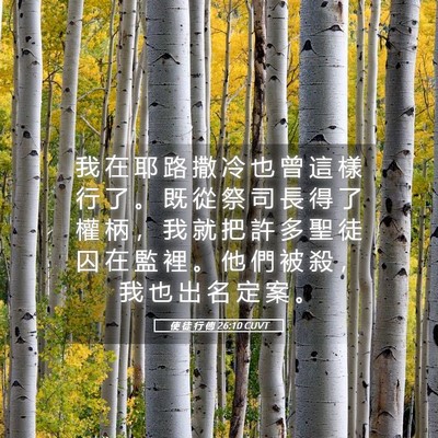 Picture 05 - 使 徒 行 傳 26:10 CUVT - 我 在 耶 路 撒 冷 也 曾 這 樣 行 了 - Bible Verse Picture