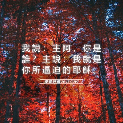 Picture 05 - 使 徒 行 傳 26:15 CUVT - 我 說 ： 主 阿 ， 你 是 誰 ？ 主 說 - Bible Verse Picture