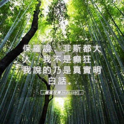 Picture 05 - 使 徒 行 傳 26:25 CUVT - 保 羅 說 ： 非 斯 都 大 人 ， 我 不 - Bible Verse Picture