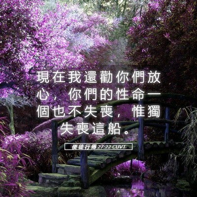 Picture 05 - 使 徒 行 傳 27:22 CUVT - 現 在 我 還 勸 你 們 放 心 ， 你 們 - Bible Verse Picture