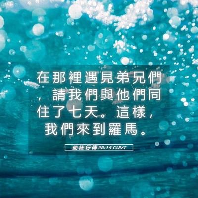 Picture 05 - 使 徒 行 傳 28:14 CUVT - 在 那 裡 遇 見 弟 兄 們 ， 請 我 們 - Bible Verse Picture