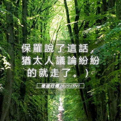 Picture 05 - 使 徒 行 傳 28:29 CUVT - 保 羅 說 了 這 話 ， 猶 太 人 議 論 - Bible Verse Picture