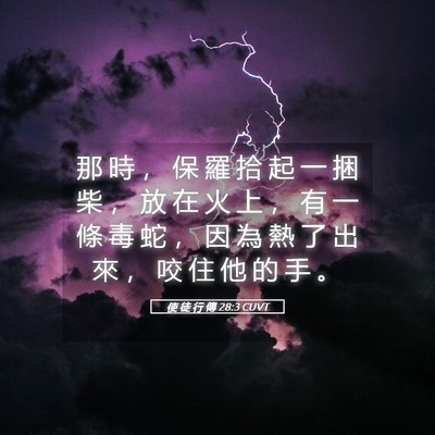Picture 05 - 使 徒 行 傳 28:3 CUVT - 那 時 ， 保 羅 拾 起 一 捆 柴 ， 放 - Bible Verse Picture