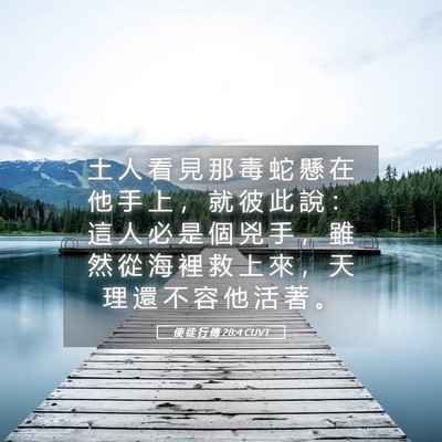 Picture 05 - 使 徒 行 傳 28:4 CUVT - 土 人 看 見 那 毒 蛇 懸 在 他 手 上 - Bible Verse Picture