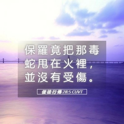 Picture 05 - 使 徒 行 傳 28:5 CUVT - 保 羅 竟 把 那 毒 蛇 甩 在 火 裡 ， - Bible Verse Picture