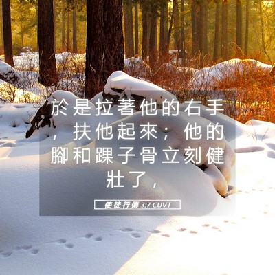 Picture 05 - 使 徒 行 傳 3:7 CUVT - 於 是 拉 著 他 的 右 手 ， 扶 他 起 - Bible Verse Picture