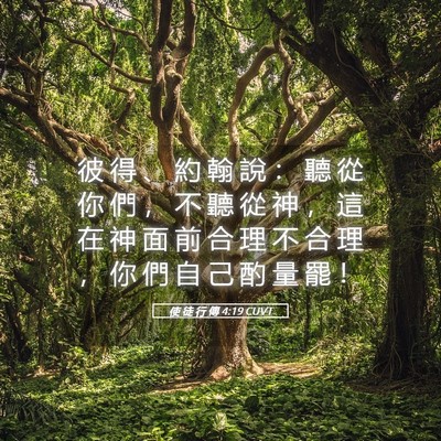 Picture 05 - 使 徒 行 傳 4:19 CUVT - 彼 得 、 約 翰 說 ： 聽 從 你 們 ， - Bible Verse Picture