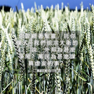 Picture 05 - 使 徒 行 傳 4:25 CUVT - 你 曾 藉 著 聖 靈 ， 託 你 僕 人 ─ - Bible Verse Picture