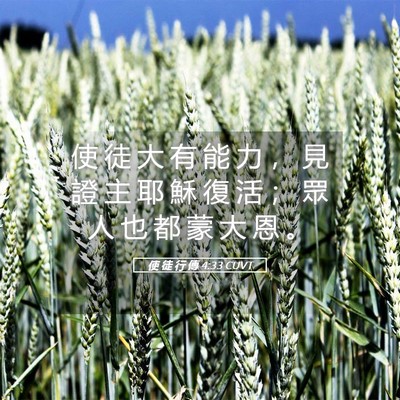 Picture 05 - 使 徒 行 傳 4:33 CUVT - 使 徒 大 有 能 力 ， 見 證 主 耶 穌 - Bible Verse Picture
