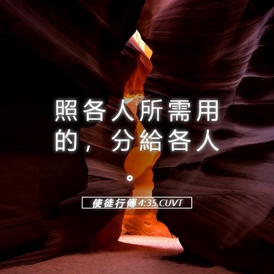 Picture 05 - 使 徒 行 傳 4:35 CUVT - 照 各 人 所 需 用 的 ， 分 給 各 人 - Bible Verse Picture