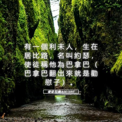 Picture 05 - 使 徒 行 傳 4:36 CUVT - 有 一 個 利 未 人 ， 生 在 居 比 路 - Bible Verse Picture