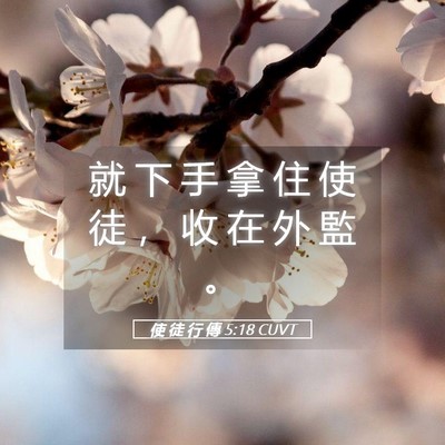 Picture 05 - 使 徒 行 傳 5:18 CUVT - 就 下 手 拿 住 使 徒 ， 收 在 外 監 - Bible Verse Picture