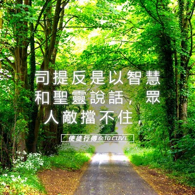 Picture 05 - 使 徒 行 傳 6:10 CUVT - 司 提 反 是 以 智 慧 和 聖 靈 說 話 - Bible Verse Picture