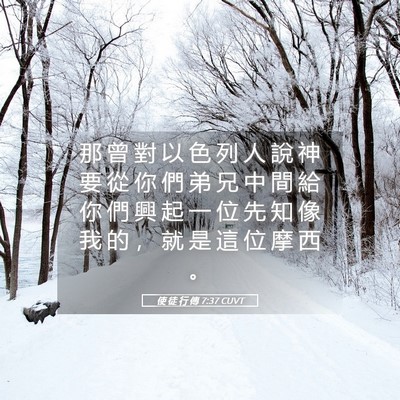 Picture 05 - 使 徒 行 傳 7:37 CUVT - 那 曾 對 以 色 列 人 說 神 要 從 你 - Bible Verse Picture
