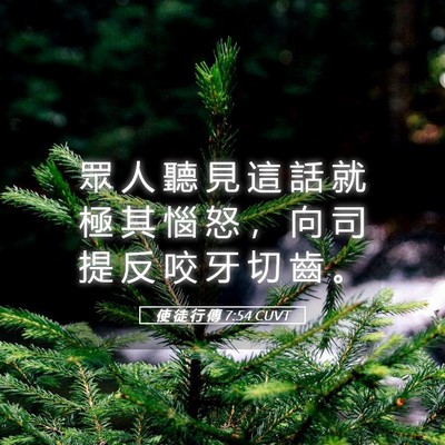 Picture 05 - 使 徒 行 傳 7:54 CUVT - 眾 人 聽 見 這 話 就 極 其 惱 怒 ， - Bible Verse Picture