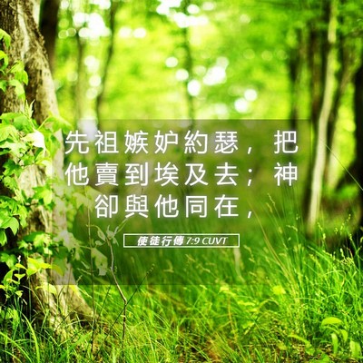 Picture 05 - 使 徒 行 傳 7:9 CUVT - 先 祖 嫉 妒 約 瑟 ， 把 他 賣 到 埃 - Bible Verse Picture