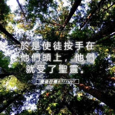Picture 05 - 使 徒 行 傳 8:17 CUVT - 於 是 使 徒 按 手 在 他 們 頭 上 ， - Bible Verse Picture