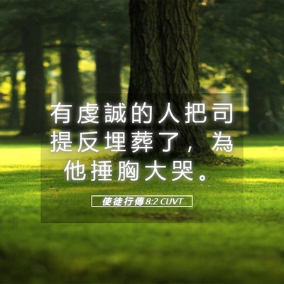 Picture 05 - 使 徒 行 傳 8:2 CUVT - 有 虔 誠 的 人 把 司 提 反 埋 葬 了 - Bible Verse Picture