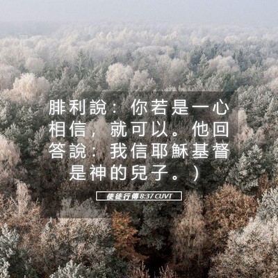 Picture 05 - 使 徒 行 傳 8:37 CUVT - 腓 利 說 ： 你 若 是 一 心 相 信 ， - Bible Verse Picture