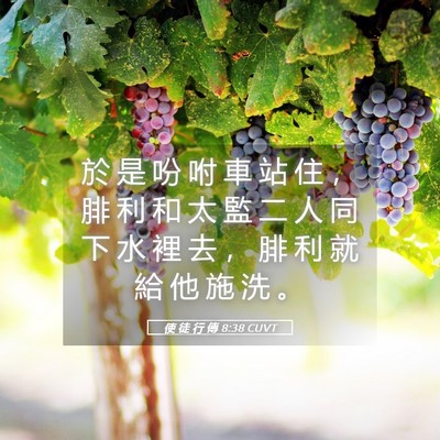 Picture 05 - 使 徒 行 傳 8:38 CUVT - 於 是 吩 咐 車 站 住 ， 腓 利 和 太 - Bible Verse Picture