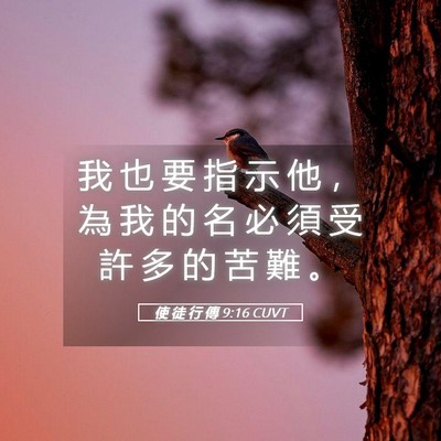 Picture 05 - 使 徒 行 傳 9:16 CUVT - 我 也 要 指 示 他 ， 為 我 的 名 必 - Bible Verse Picture