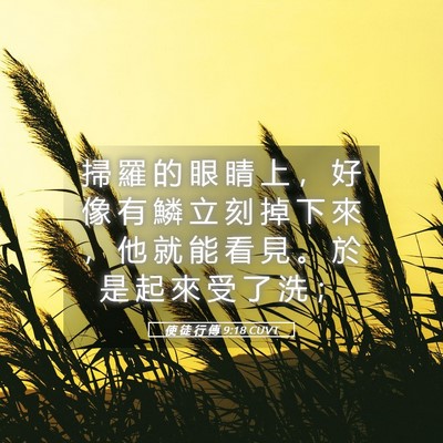 Picture 05 - 使 徒 行 傳 9:18 CUVT - 掃 羅 的 眼 睛 上 ， 好 像 有 鱗 立 - Bible Verse Picture