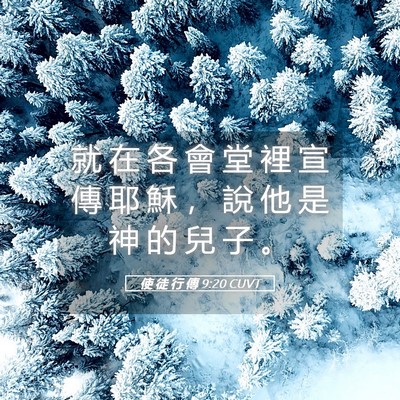 Picture 05 - 使 徒 行 傳 9:20 CUVT - 就 在 各 會 堂 裡 宣 傳 耶 穌 ， 說 - Bible Verse Picture